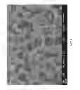 Fig. 06 - Foam material and method for the preparation thereof