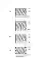 Fig. 06 - Electrical storage device and method for manufacturing the same
