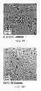 Fig. 04 - Phase separated silicon—tin composite as negative electrode material for lithium-ion and lithium sulfur batteries
