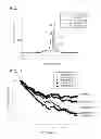 Fig. 06 - Positive active material, method of preparing the same, and lithium battery including the positive active material