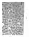 Fig. 03 - Nanoscale three-dimensional battery architecture