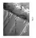 Fig. 10 - Nanoscale three-dimensional battery architecture