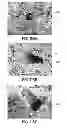 Fig. 84 - Fuel cell device and system