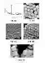 Fig. 02 - Truncated Ditetragonal Gold Prisms