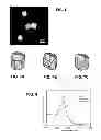 Fig. 05 - Truncated Ditetragonal Gold Prisms