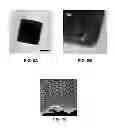 Fig. 06 - Truncated Ditetragonal Gold Prisms