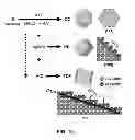 Fig. 10 - Truncated Ditetragonal Gold Prisms