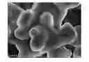 Fig. 01 - POSITIVE ELECTRODE COMPOSITE FOR SOLID OXIDE FUEL CELL, METHOD OF PREPARING THE SAME AND SOLID OXIDE FUEL CELL INCLUDING THE SAME