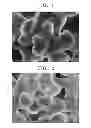 Fig. 02 - POSITIVE ELECTRODE COMPOSITE FOR SOLID OXIDE FUEL CELL, METHOD OF PREPARING THE SAME AND SOLID OXIDE FUEL CELL INCLUDING THE SAME
