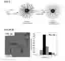 Fig. 04 - CORE-SHELL NANOPARTICULATE COMPOSITIONS AND METHODS