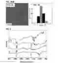 Fig. 05 - CORE-SHELL NANOPARTICULATE COMPOSITIONS AND METHODS