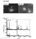 Fig. 06 - CORE-SHELL NANOPARTICULATE COMPOSITIONS AND METHODS