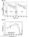 Fig. 09 - CORE-SHELL NANOPARTICULATE COMPOSITIONS AND METHODS