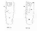 Fig. 09 - Dental implant