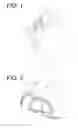 Fig. 02 - METHOD OF PRODUCING ORGAN MODEL, MOLD FOR PRODUCING ORGAN MODEL, AND ORGAN MODEL