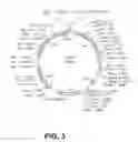Fig. 04 - Stabilized bioactive peptides and methods of identification, synthesis, and use