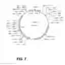 Fig. 08 - Stabilized bioactive peptides and methods of identification, synthesis, and use
