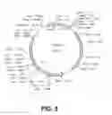 Fig. 09 - Stabilized bioactive peptides and methods of identification, synthesis, and use