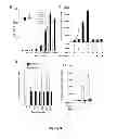 Fig. 06 - METHOD OF ASSAYING DNA TOPOISOMERASES AND DNA BINDING PROTEINS USING HIGH THROUGHPUT SCREENING