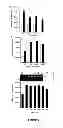Fig. 07 - METHOD OF ASSAYING DNA TOPOISOMERASES AND DNA BINDING PROTEINS USING HIGH THROUGHPUT SCREENING