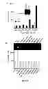 Fig. 08 - METHOD OF ASSAYING DNA TOPOISOMERASES AND DNA BINDING PROTEINS USING HIGH THROUGHPUT SCREENING