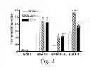 Fig. 04 - Methods of treating a meiotic kinesin associated disease
