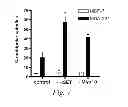 Fig. 06 - Methods of treating a meiotic kinesin associated disease