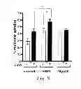 Fig. 07 - Methods of treating a meiotic kinesin associated disease