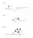 Fig. 05 - BINDING INTERACTIONS IN DIPSTICK ASSAYS
