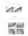 Fig. 16 - Culture medium composition and method of culturing cell or tissue using thereof