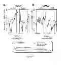 Fig. 02 - Method of Diagnosing Cancer