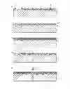 Fig. 02 - Arrangement and process for optical analysis and specific isolation of biological samples