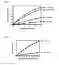 Fig. 02 - Cellulase Assay