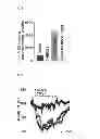 Fig. 03 - METHOD FOR CONTROLLING NAD(P)/NAD(P)H RATIO BY OXIDOREDUCTASE