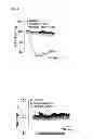Fig. 04 - METHOD FOR CONTROLLING NAD(P)/NAD(P)H RATIO BY OXIDOREDUCTASE