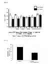 Fig. 09 - METHOD FOR CONTROLLING NAD(P)/NAD(P)H RATIO BY OXIDOREDUCTASE