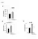 Fig. 16 - METHOD FOR CONTROLLING NAD(P)/NAD(P)H RATIO BY OXIDOREDUCTASE