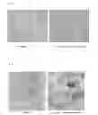 Fig. 29 - METHOD FOR CONTROLLING NAD(P)/NAD(P)H RATIO BY OXIDOREDUCTASE