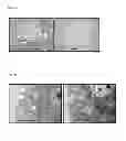Fig. 32 - METHOD FOR CONTROLLING NAD(P)/NAD(P)H RATIO BY OXIDOREDUCTASE