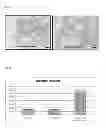 Fig. 33 - METHOD FOR CONTROLLING NAD(P)/NAD(P)H RATIO BY OXIDOREDUCTASE
