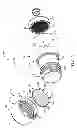 Fig. 04 - Systems and methods for detecting an analyte of interest in a sample using filters and microstructured surfaces