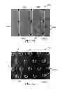 Fig. 13 - Systems and methods for detecting an analyte of interest in a sample using filters and microstructured surfaces