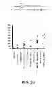Fig. 22 - Selection of host cells expressing protein at high levels