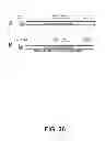 Fig. 25 - Selection of host cells expressing protein at high levels