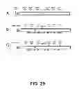 Fig. 28 - Selection of host cells expressing protein at high levels