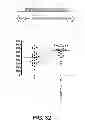 Fig. 31 - Selection of host cells expressing protein at high levels