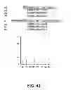Fig. 42 - Selection of host cells expressing protein at high levels