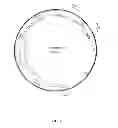 Fig. 08 - Polynucleotide for improving protein production in microorganisms of the phylum labyrinthulomycota
