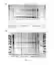 Fig. 16 - Polynucleotide for improving protein production in microorganisms of the phylum labyrinthulomycota