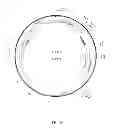 Fig. 27 - Polynucleotide for improving protein production in microorganisms of the phylum labyrinthulomycota